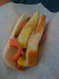 Chicago Dog!