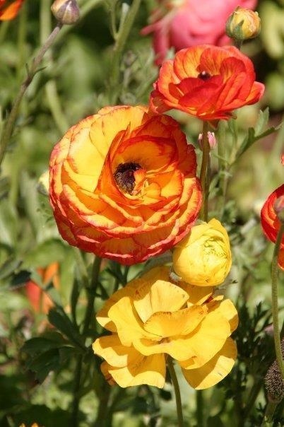 Open seven days a week in April and May