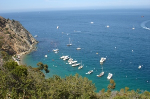 Catalina Bay