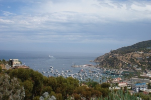 Catalina harbor