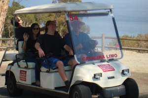 The other golf cart