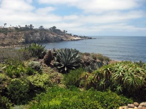 Point La Jolla, photo taken by Tom Courtney